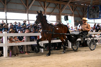 AJB_0663