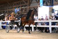 AJB_0665