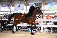 AJB_0666