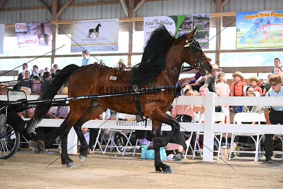 AJB_0666