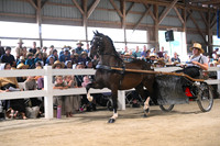 AJB_0671