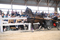 AJB_0675