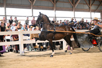 AJB_0674