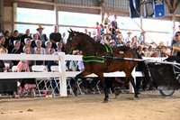 AJB_0678