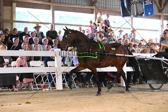 AJB_0678