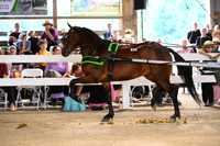 AJB_0679