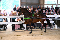AJB_0681