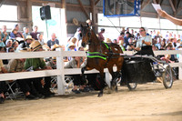 AJB_0682