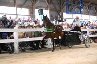 AJB_0684