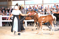 AJB_0687