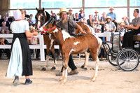 AJB_0688