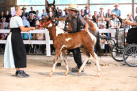 AJB_0689