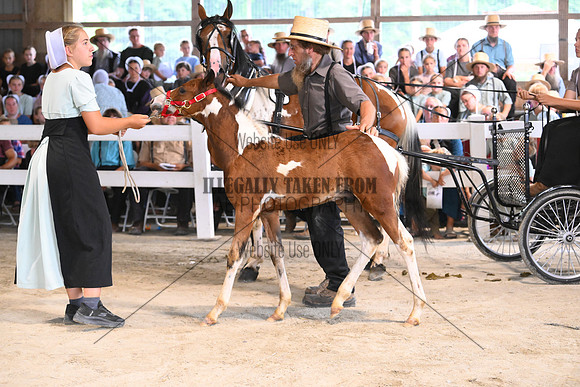 AJB_0689