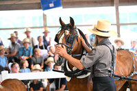 AJB_0690