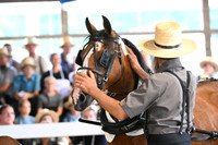 AJB_0691
