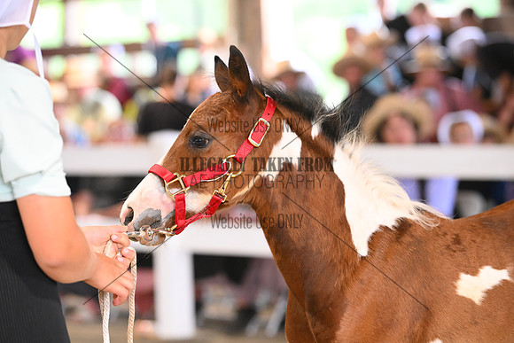 AJB_0692
