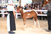 AJB_0693