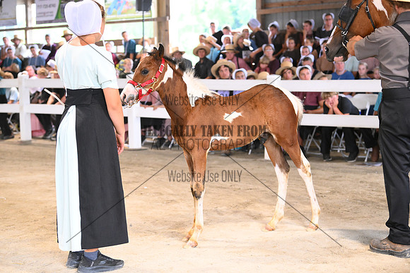 AJB_0693
