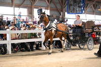 AJB_0694