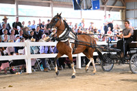AJB_0696