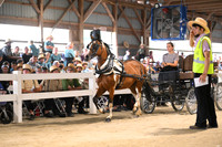 AJB_0698