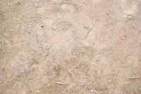 AJB_0521