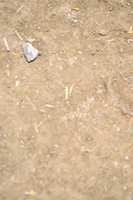 AJB_0565