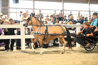 AJB_0407