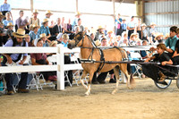 AJB_0409