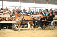 AJB_0413