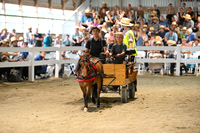 Lot #4