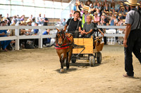 AJB_0417