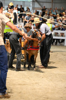AJB_0419