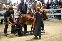 AJB_0421