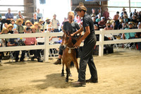 AJB_0425