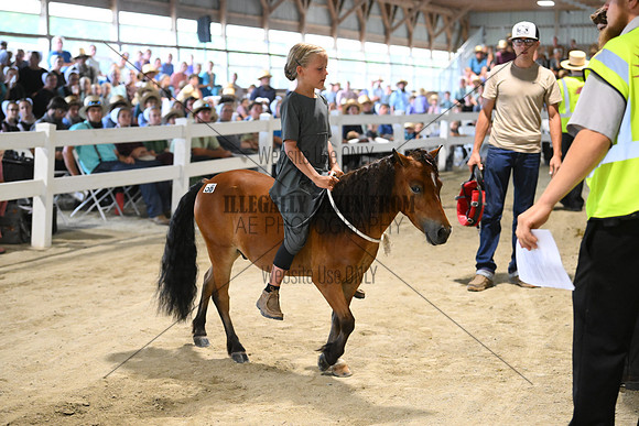 AJB_0426