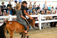 AJB_0432