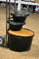AJB_0437