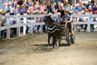 AJB_0439