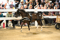 AJB_0442