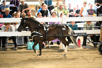 AJB_0443