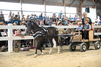 AJB_0446