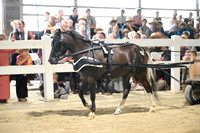 AJB_0447
