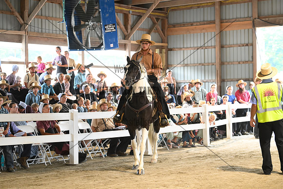 AJB_0454