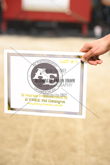 AJB_0461
