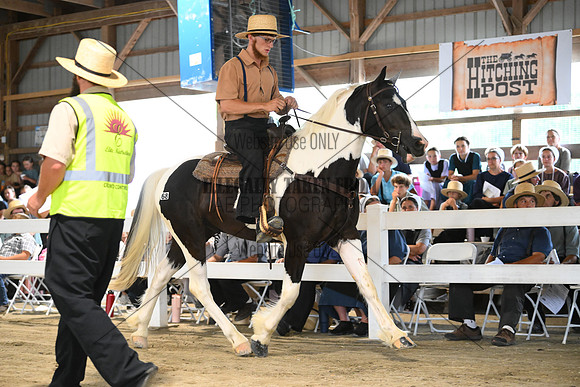 AJB_0458