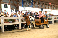 AJB_0463