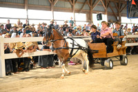 AJB_0465