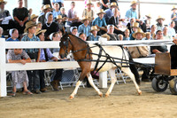 AJB_0467