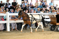 AJB_0468